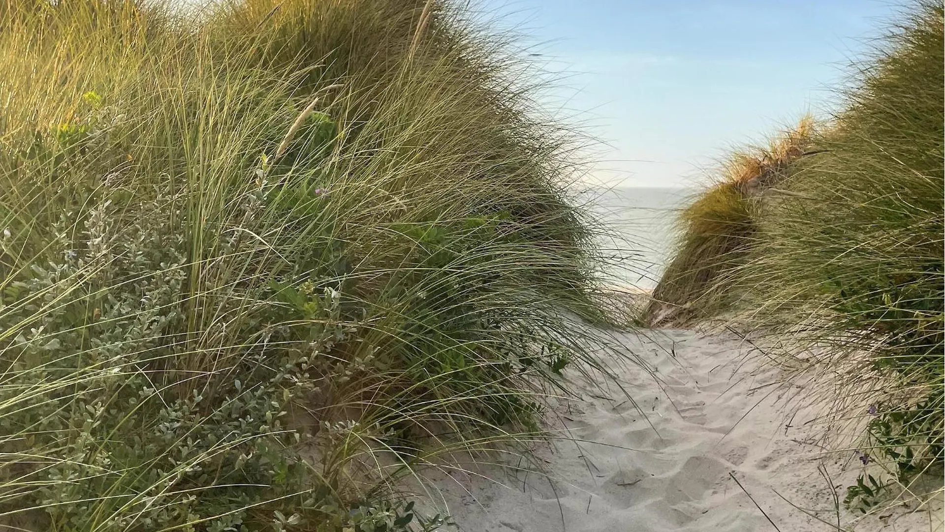 Holiday home 3 Bedroom Stunning Home In Skagen