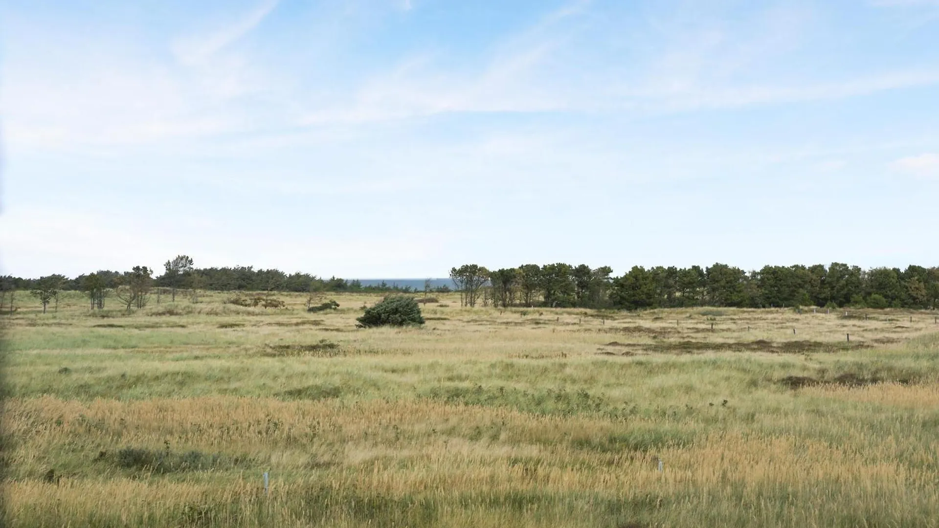 3 Bedroom Stunning Home In Skagen 0*,  Denmark
